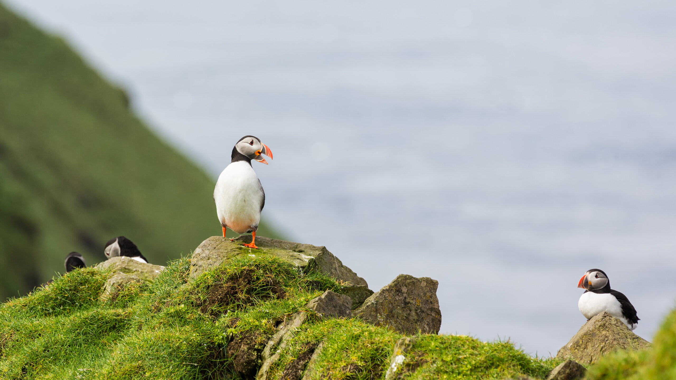 エスポパートナーズ
